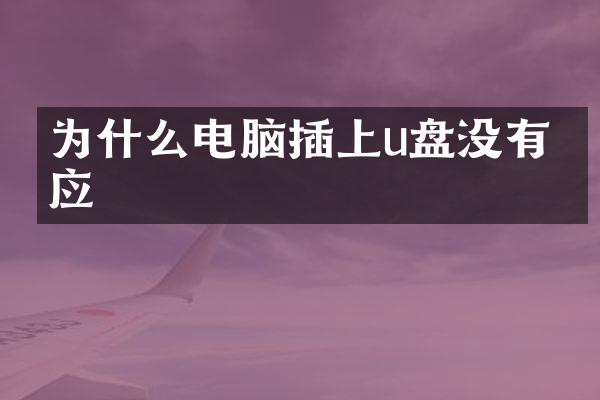 为什么电脑插上u盘没有反应