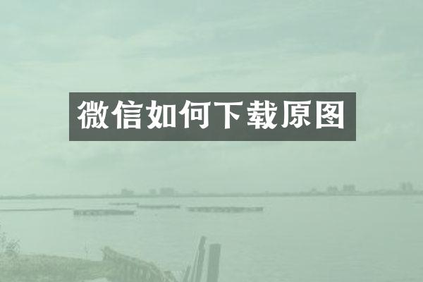 微信如何下载原图