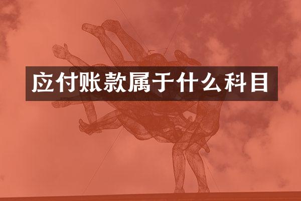 应付账款属于什么科目
