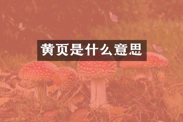 黄页是什么意思