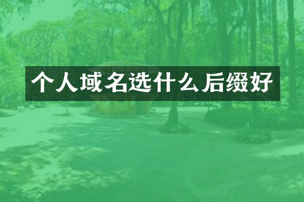 个人域名选什么后缀好