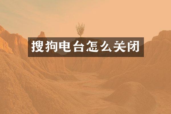 搜狗电台怎么关闭