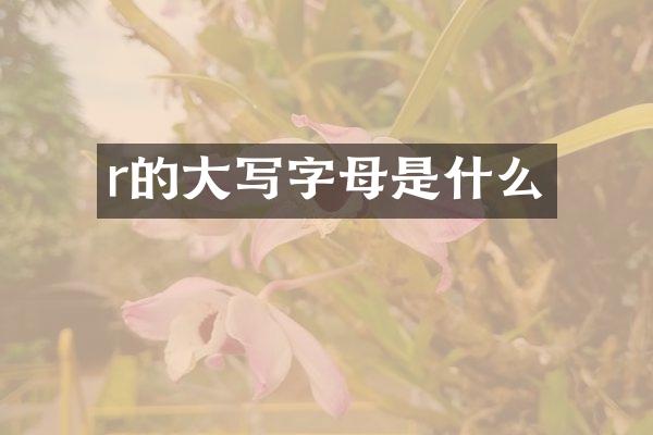 r的大写字母是什么