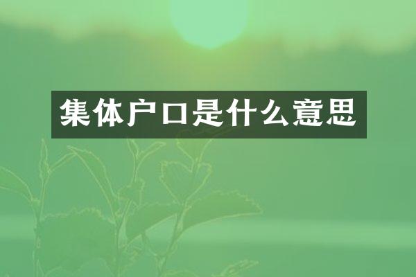 集体户口是什么意思