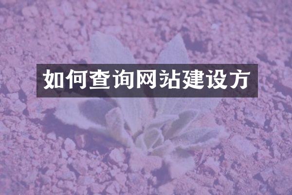 如何查询网站建设方