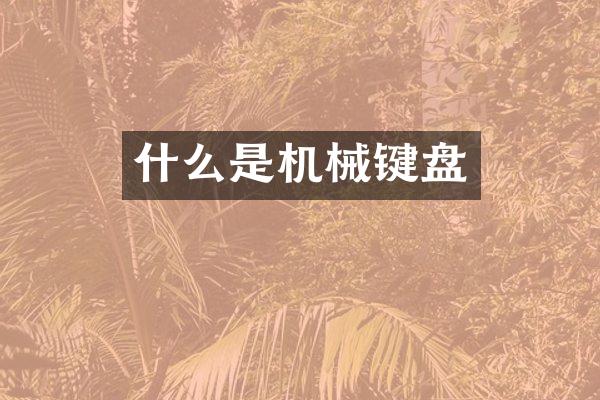 什么是机械键盘