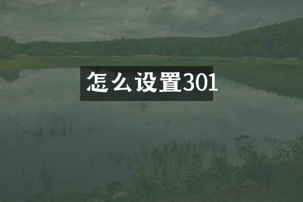 怎么设置301