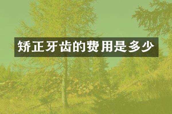 矫正牙齿的费用是多少