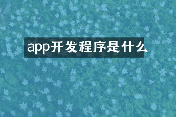 app开发程序是什么
