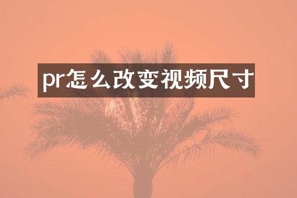 pr怎么改变视频尺寸