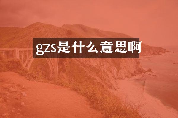 gzs是什么意思啊