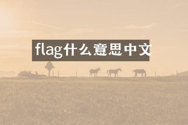 flag什么意思中文