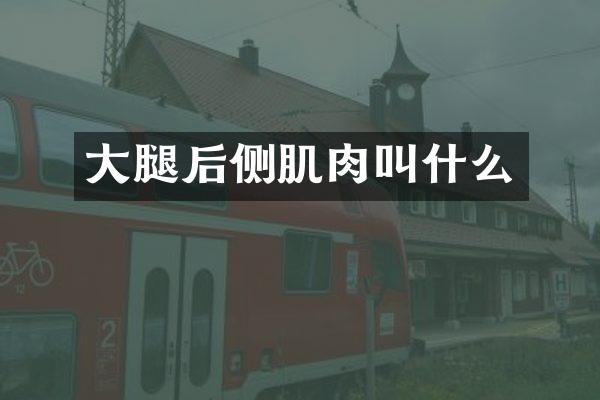 大腿后侧肌肉叫什么