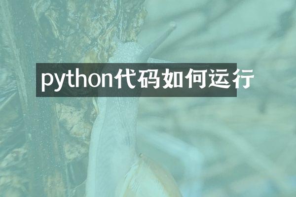 python代码如何运行