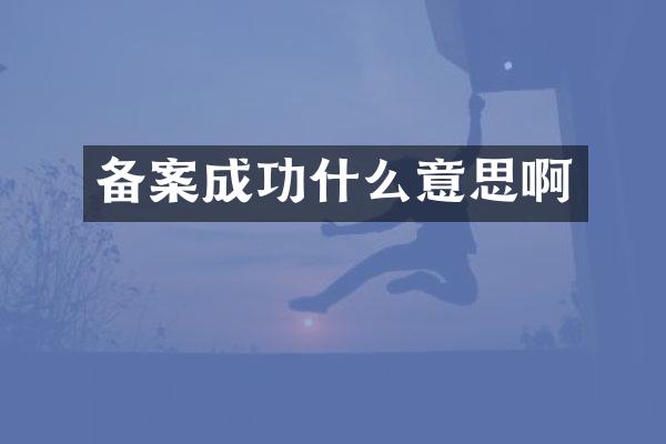 备案成功什么意思啊