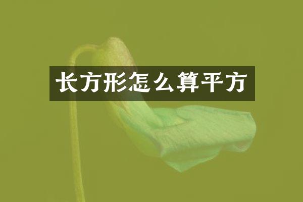 长方形怎么算平方