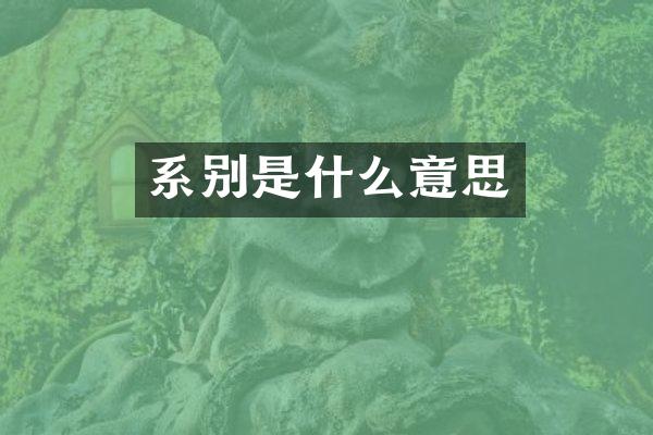 系别是什么意思