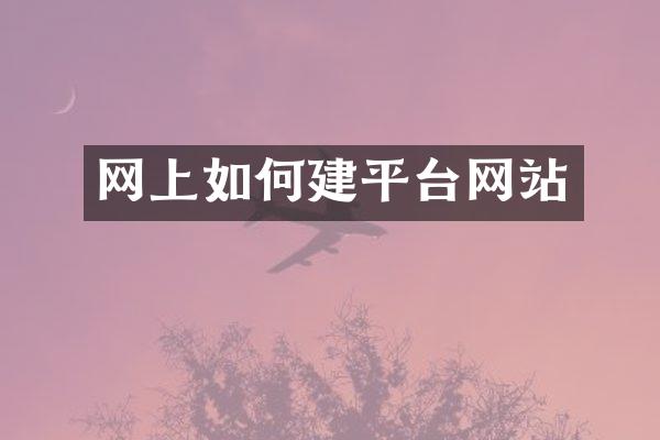 网上如何建平台网站