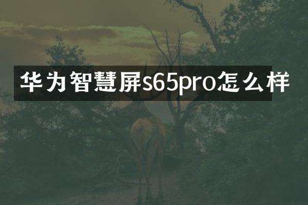 华为智慧屏s65pro怎么样
