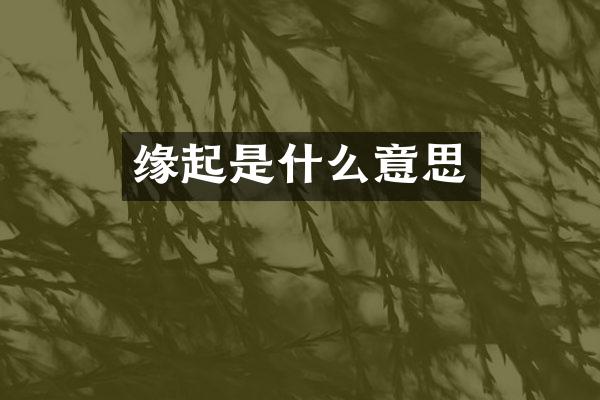 缘起是什么意思