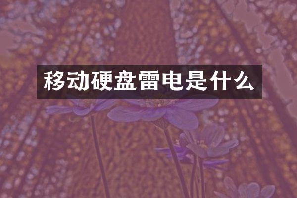 移动硬盘雷电是什么