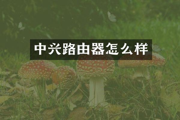 中兴路由器怎么样