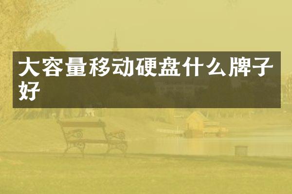 大容量移动硬盘什么牌子好