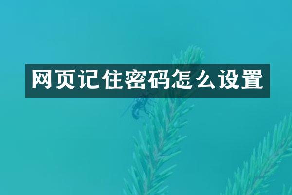 网页记住密码怎么设置