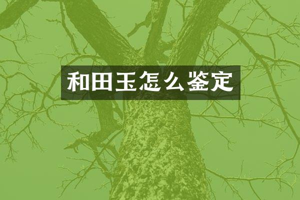 和田玉怎么鉴定