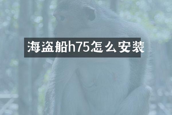 海盗船h75怎么安装