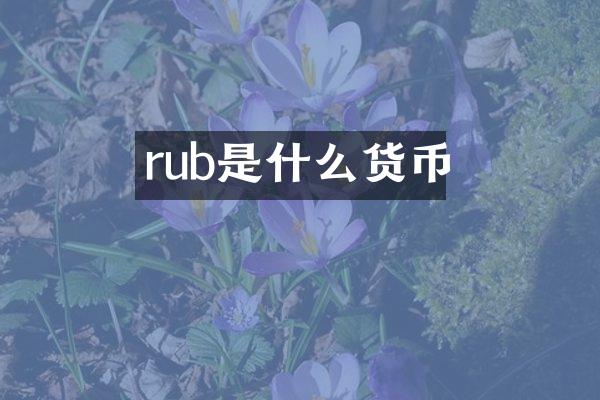 rub是什么货币