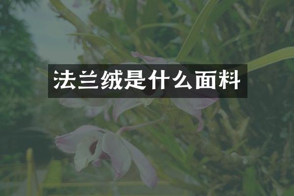 法兰绒是什么面料
