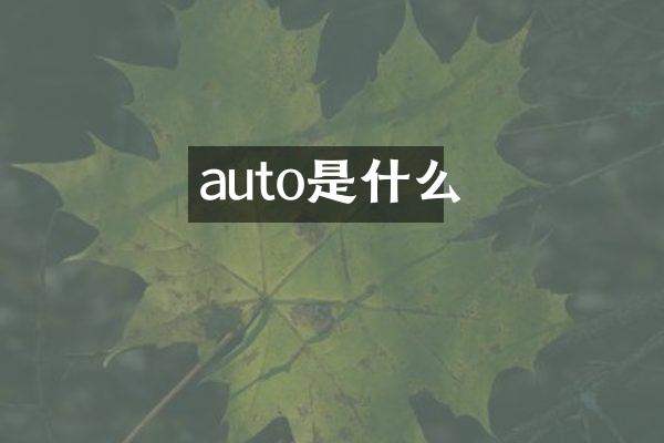 auto是什么