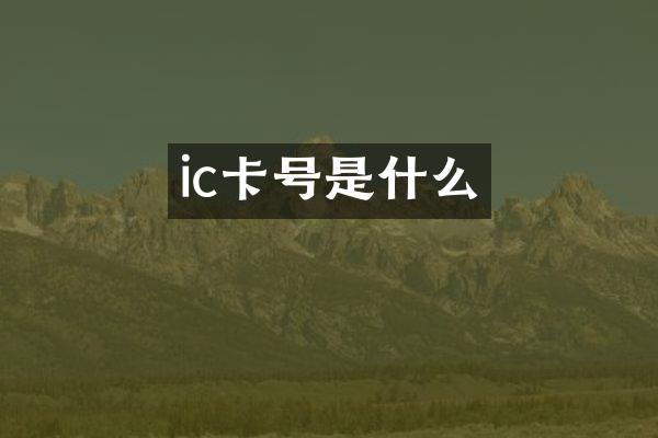 ic卡号是什么