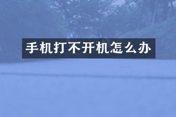 手机打不开机怎么办