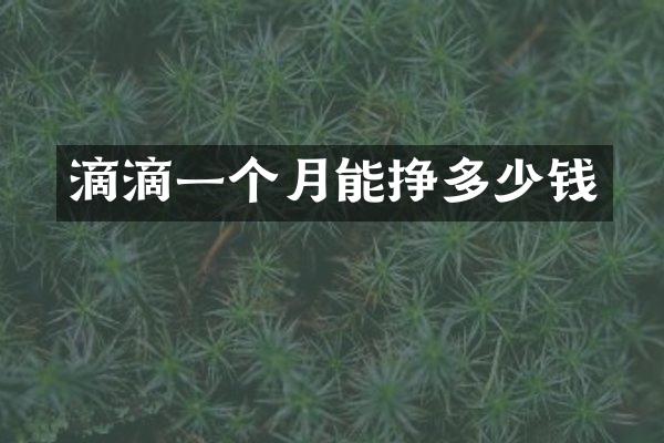 滴滴一个月能挣多少钱