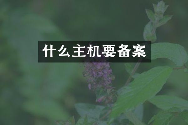 什么主机要备案