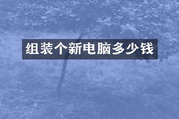 组装个新电脑多少钱