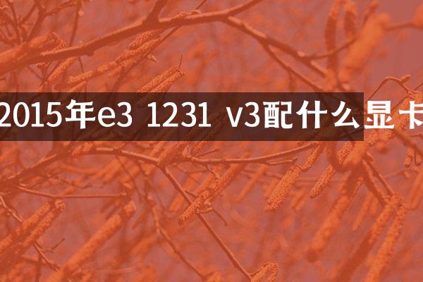 2015年e3 1231 v3配什么显卡