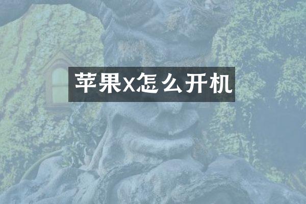 苹果x怎么开机