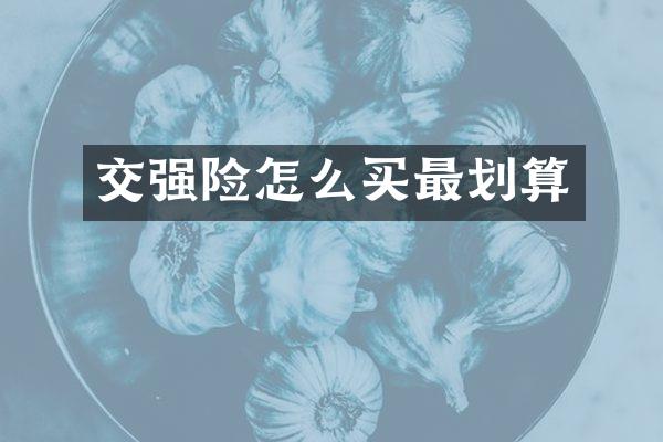 交强险怎么买最划算