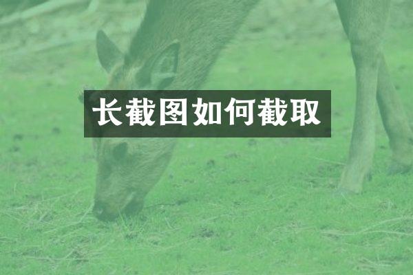 长截图如何截取