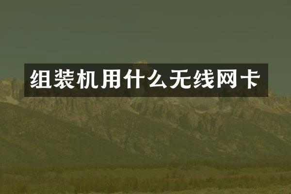 组装机用什么无线网卡
