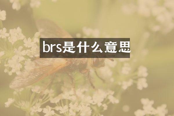 brs是什么意思