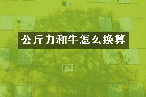 公斤力和牛怎么换算