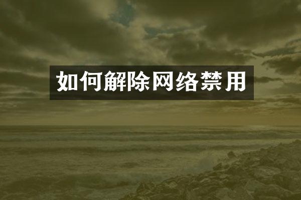 如何解除网络禁用