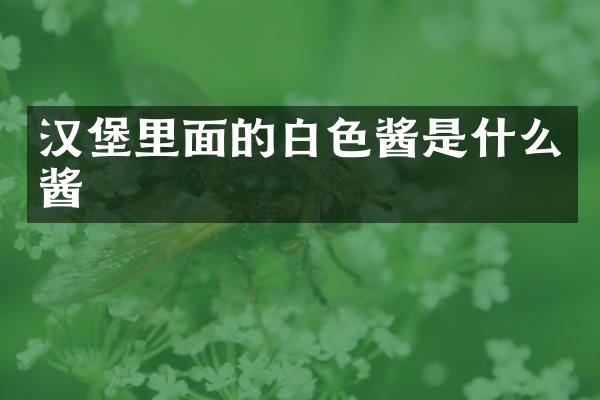 汉堡里面的白色酱是什么酱