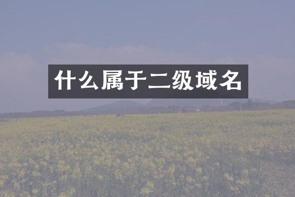 什么属于二级域名