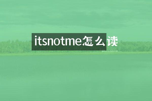 itsnotme怎么读