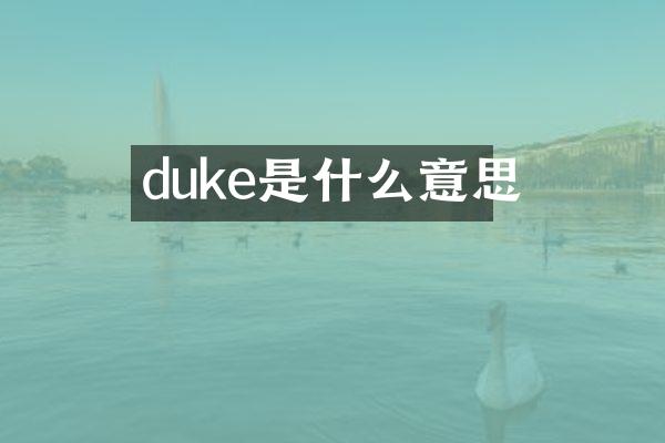 duke是什么意思